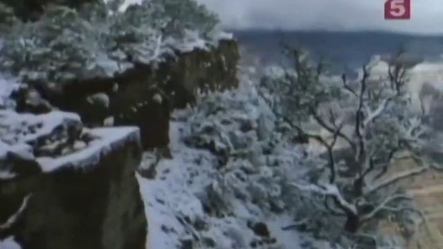 спокойная музыка для сна.