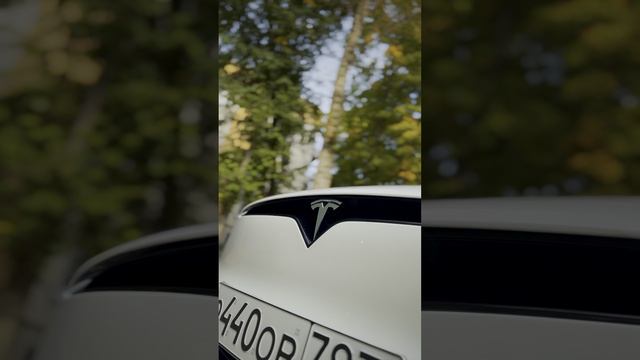 Tesla X белая антигравийка2023г1