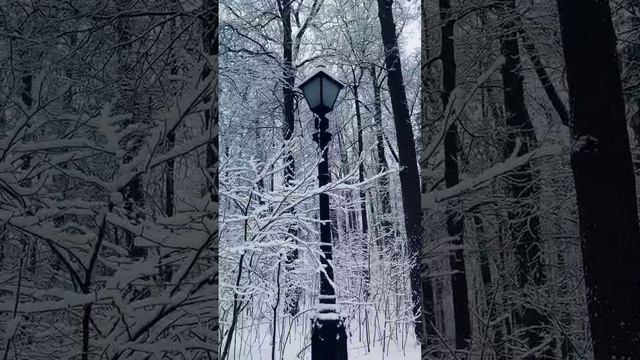 1000108492.mp4