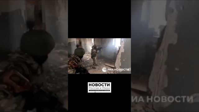 давайте поддержим их лайком или подпиской🫡