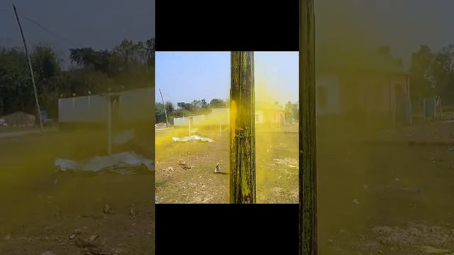 смешное видео 2025