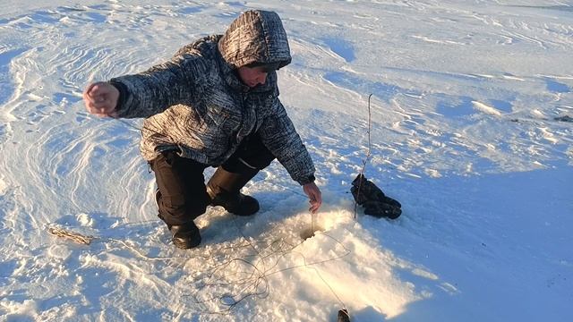 жерлицы  02.01.2025 год оз.Синара