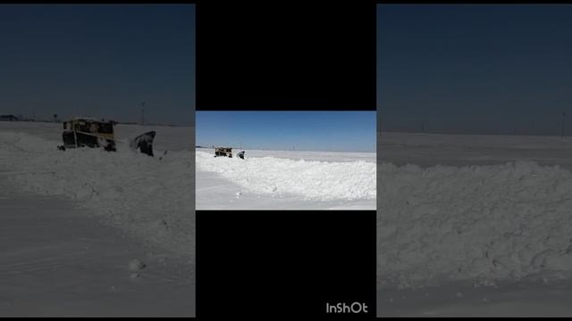 1000011795.mp4