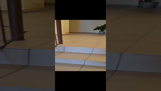 1000138111.mp4