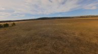 FPV полет в поле. Весна.