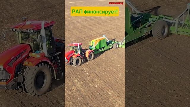 К7 с Citan сеют. РАЛ финансирует! #Рал #лизинг