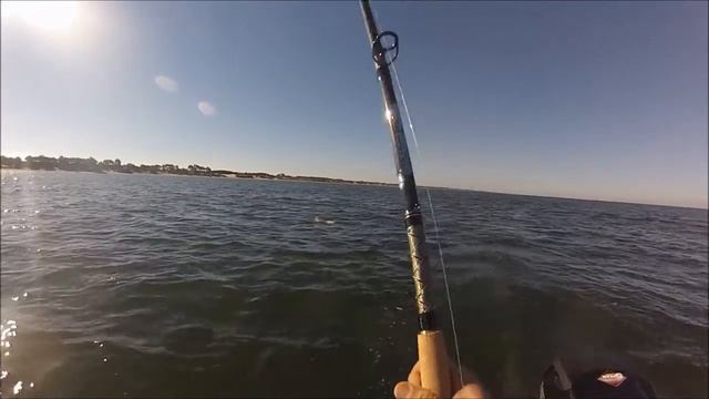 Ловля судака на кораблики в море