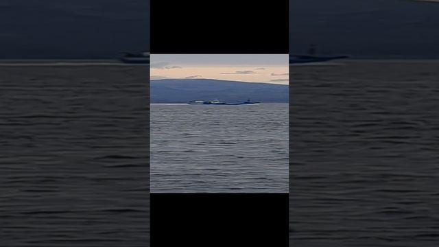1000000345.mp4