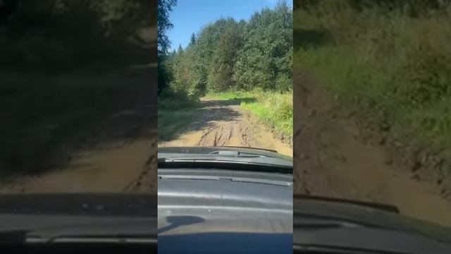 Дорога в деревню