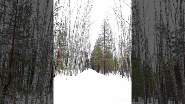 02-01-2025 2 января 2025 г.