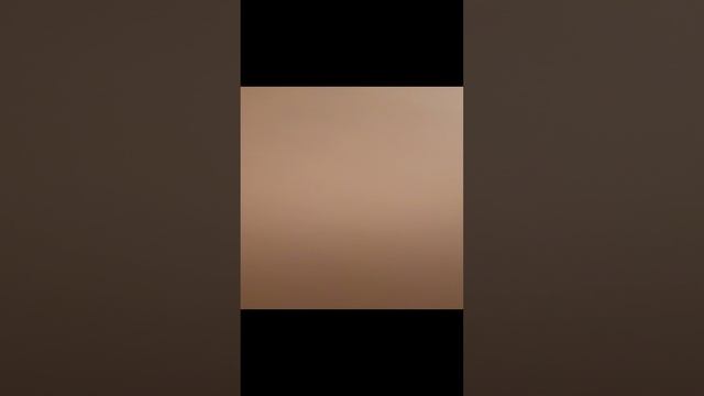 1000005156.mp4