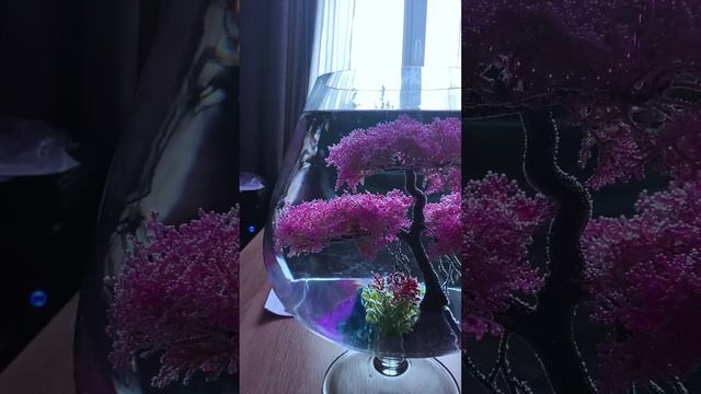 02-01-2025