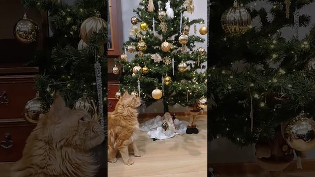 1000021092.mp4