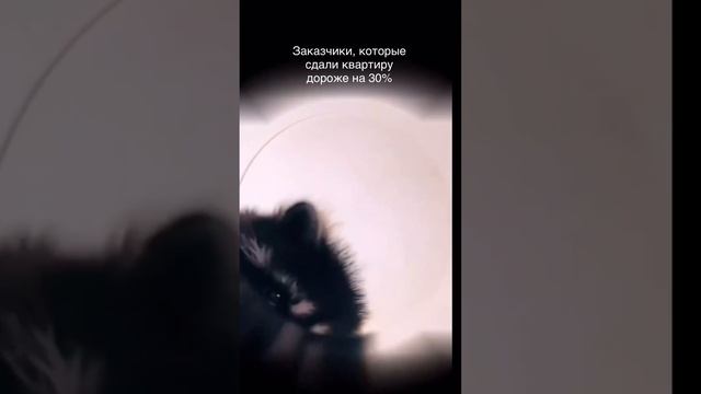 Меблировка квартиры с ремонтом от застройщика.
