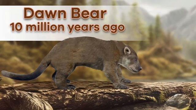 Bears for Kids  Learn all about these honey-loving mammals!