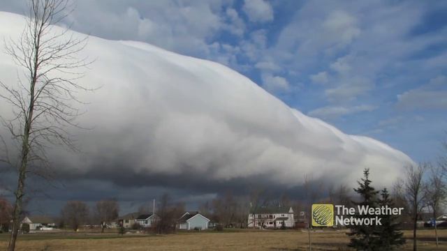 Canadians stunned by mammoth "roll of cotton" cloud