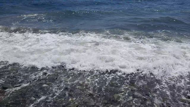 У моря
