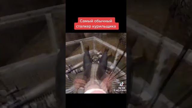 сталкер ☢️