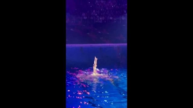 Шоу олимпийских чемпионов 2024