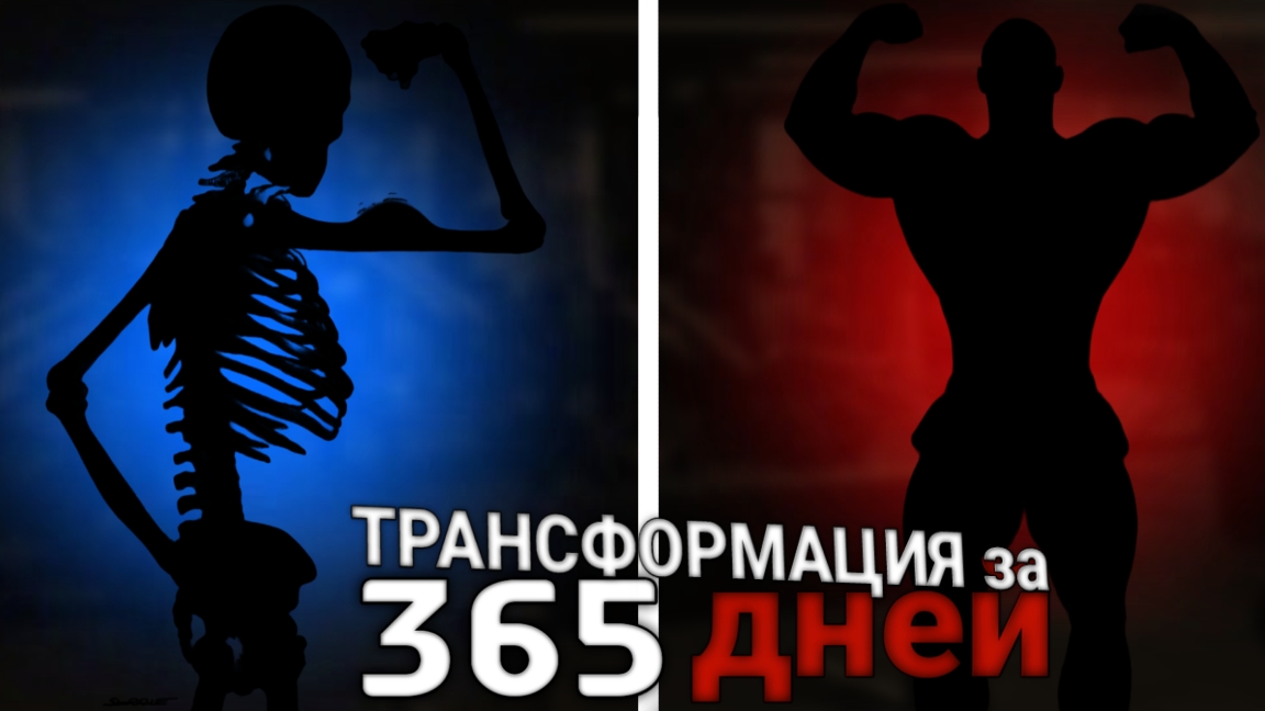 ТРАНСФОРМАЦИЯ за 365 дней! НАЧАЛО