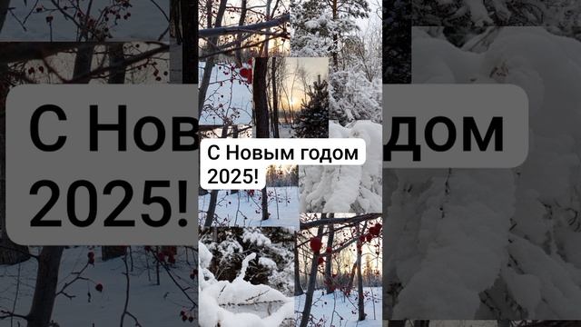 С Новым 2025 годом!