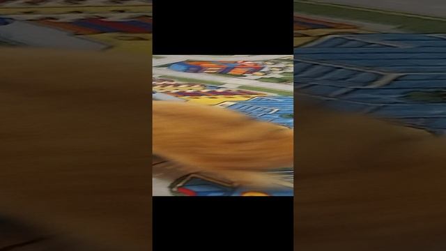 1000021277.mp4