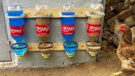 Супер-идея: изготовление простой поилки и кормушки для кур из бутылки объемом 2,5 литра.
