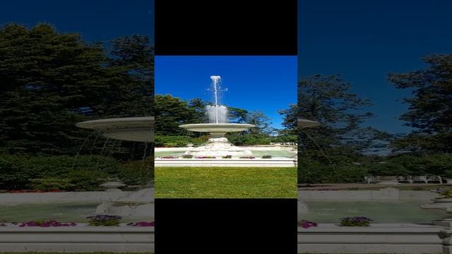 1000139516.mp4
