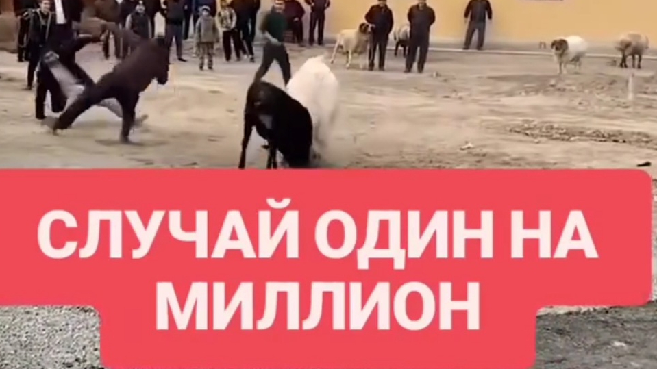 Случай один на миллион Sluchay odin na million
