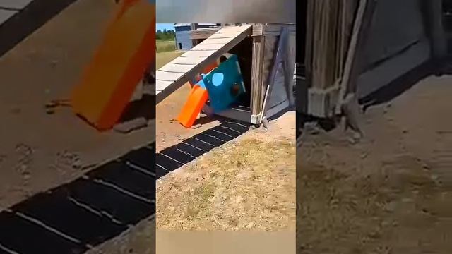 1000013741.mp4