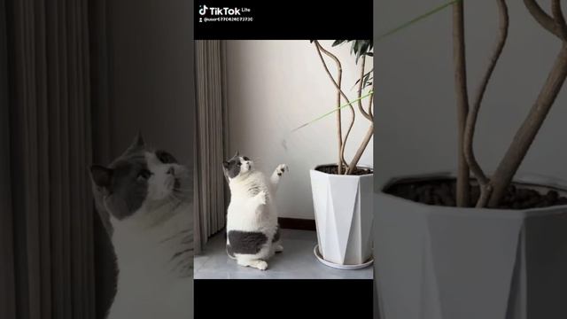 1000056413.mp4