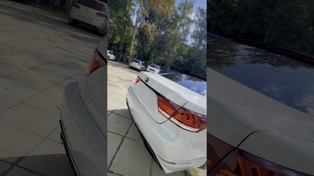 Lexus LS600антигравийка2023г2