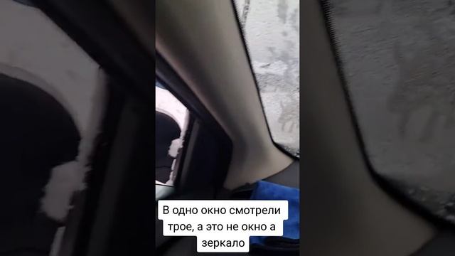 Это собака 🤣