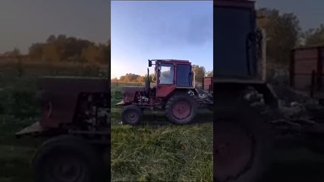 1000048210.mp4