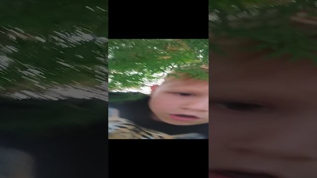 VID_20240809_141634.mp4