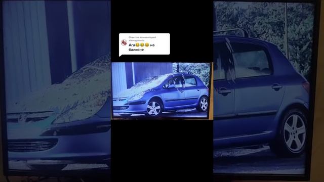 голубь 😂