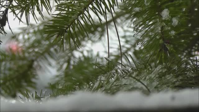 ЗИМНЯЯ СКАЗКА. Муз. Г. Новикова ..Наши результаты за 8 месяцев..