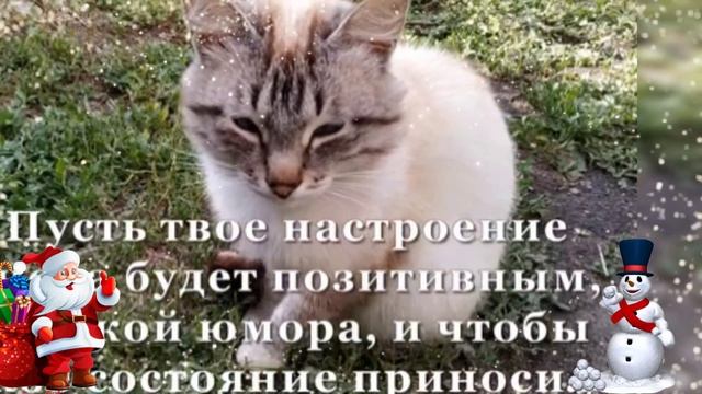 Пожелания на 2025 год!