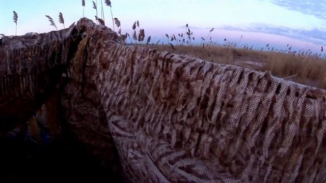#открытиеохоты#весна #наУтку 2024.mp4