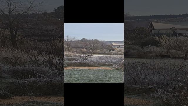1000230722.mp4
Мороз и солнце, день чудесный