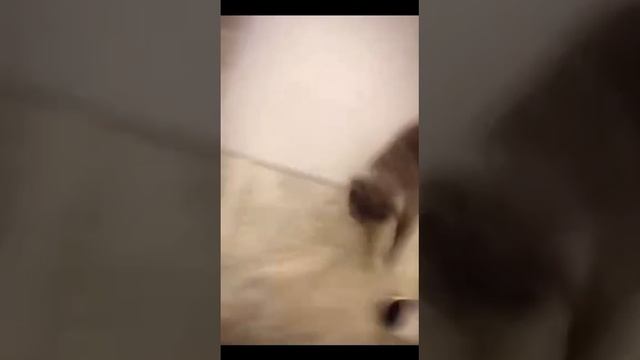 Вот зря ты это сделал