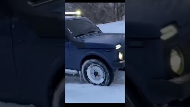 Допрыгался на ниве
