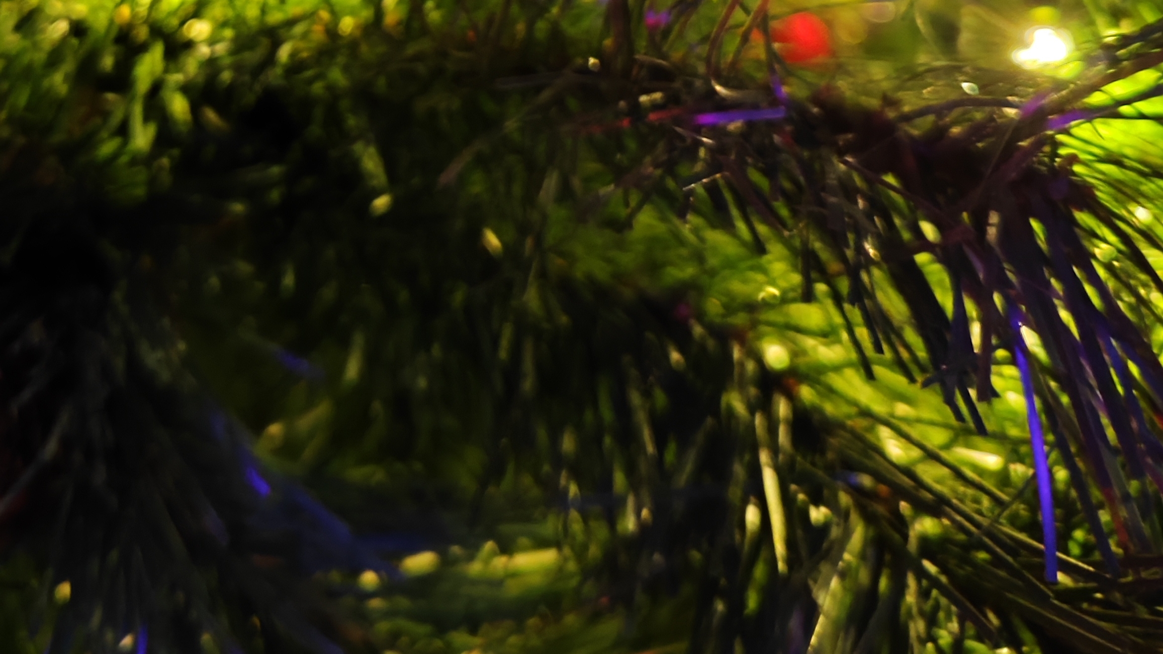02-01-2025