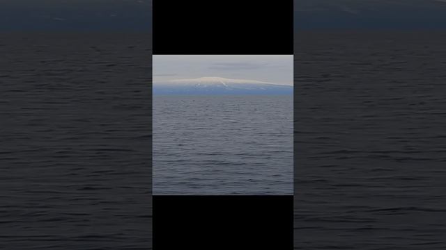 1000000346.mp4