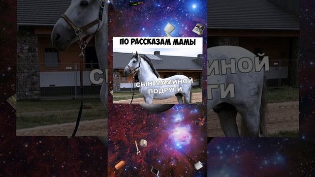 мамин сын