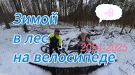 Зимой в лес на велосипеде...2024 -2025...
