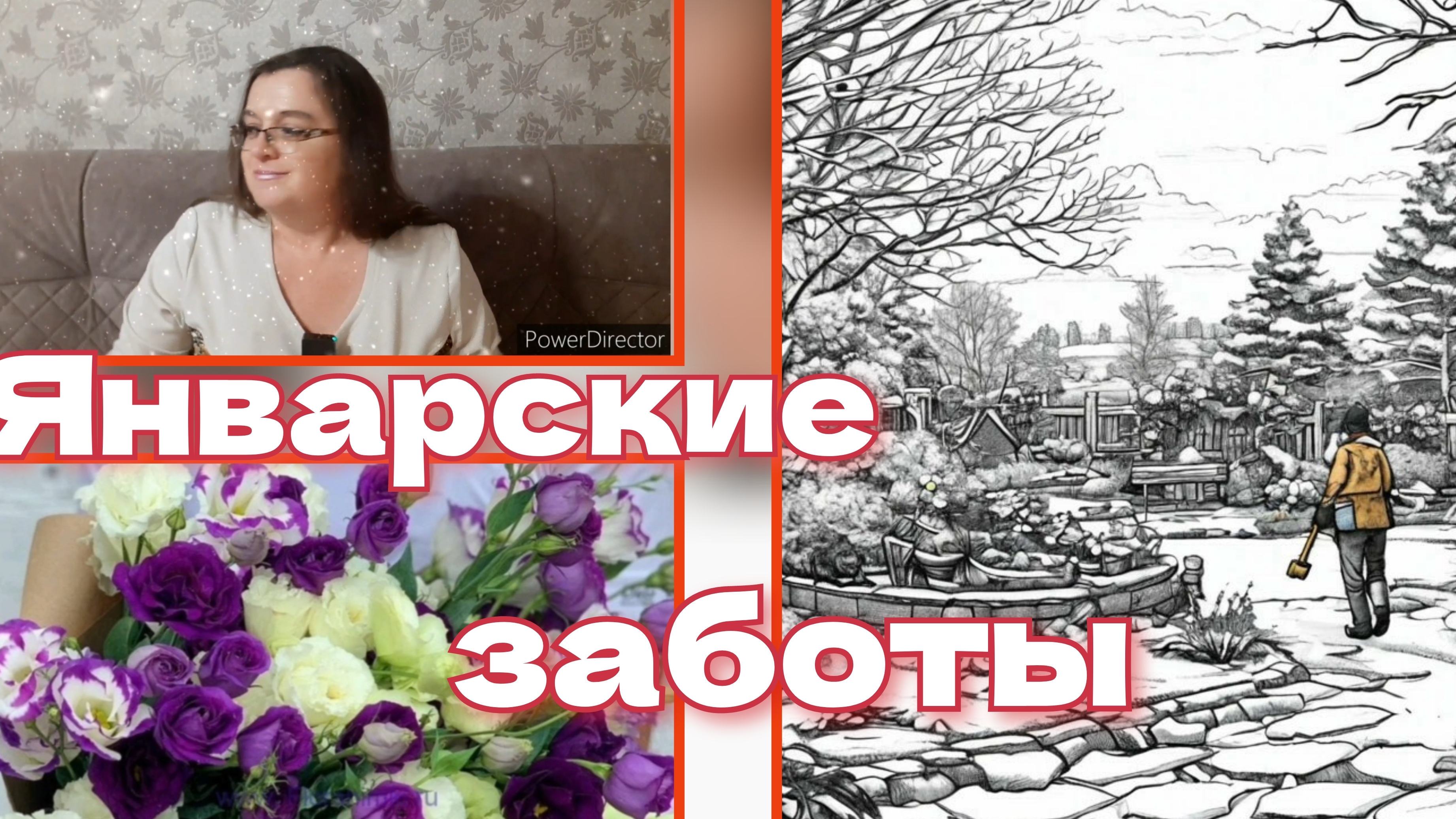 Январь. Погода. Переживания дачников. Эустома взошла. Что дальше?