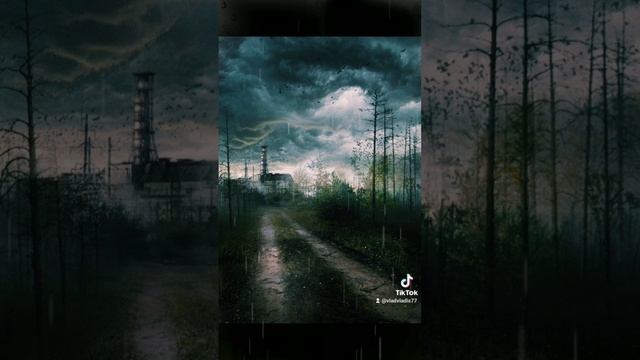 Stalker2.,#stalker.