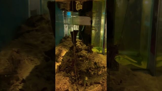 Under water