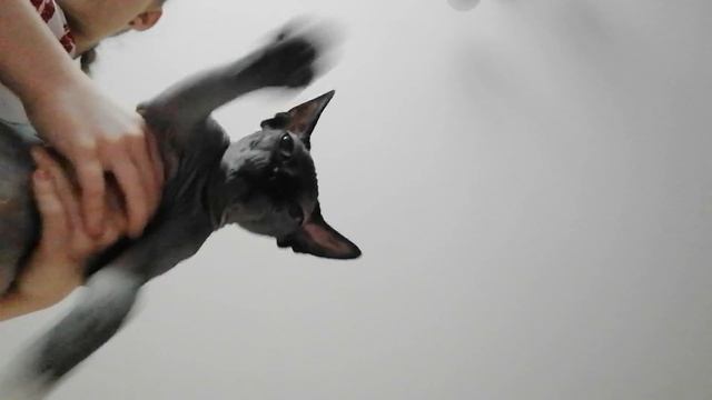 VID_20250102_122011.mp4